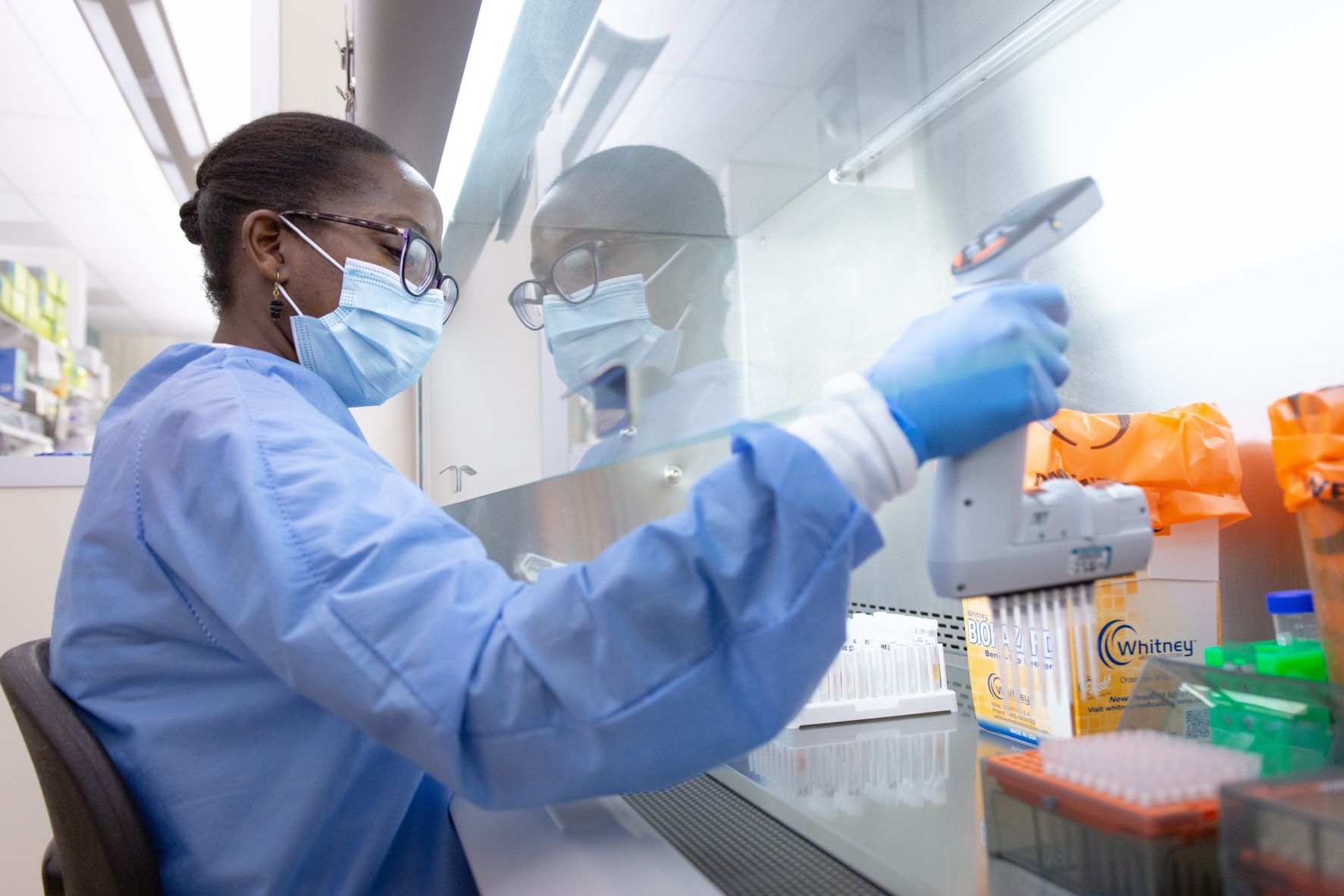 Infectious Disease Laboratory scientist conducting a test