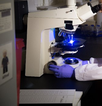 scientist using a microscope to examine a sample for rabies