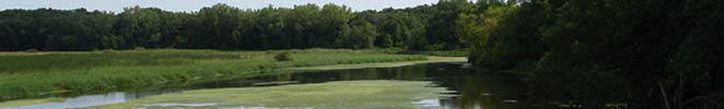 image of water with algae