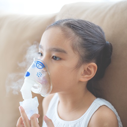 mist inhaler