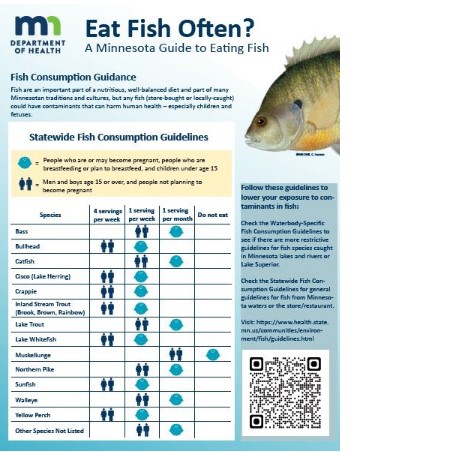 Thumbnail view of Eat Fish Often infosheet