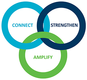 Health equity mission of Connect, Strengthen and Amplify