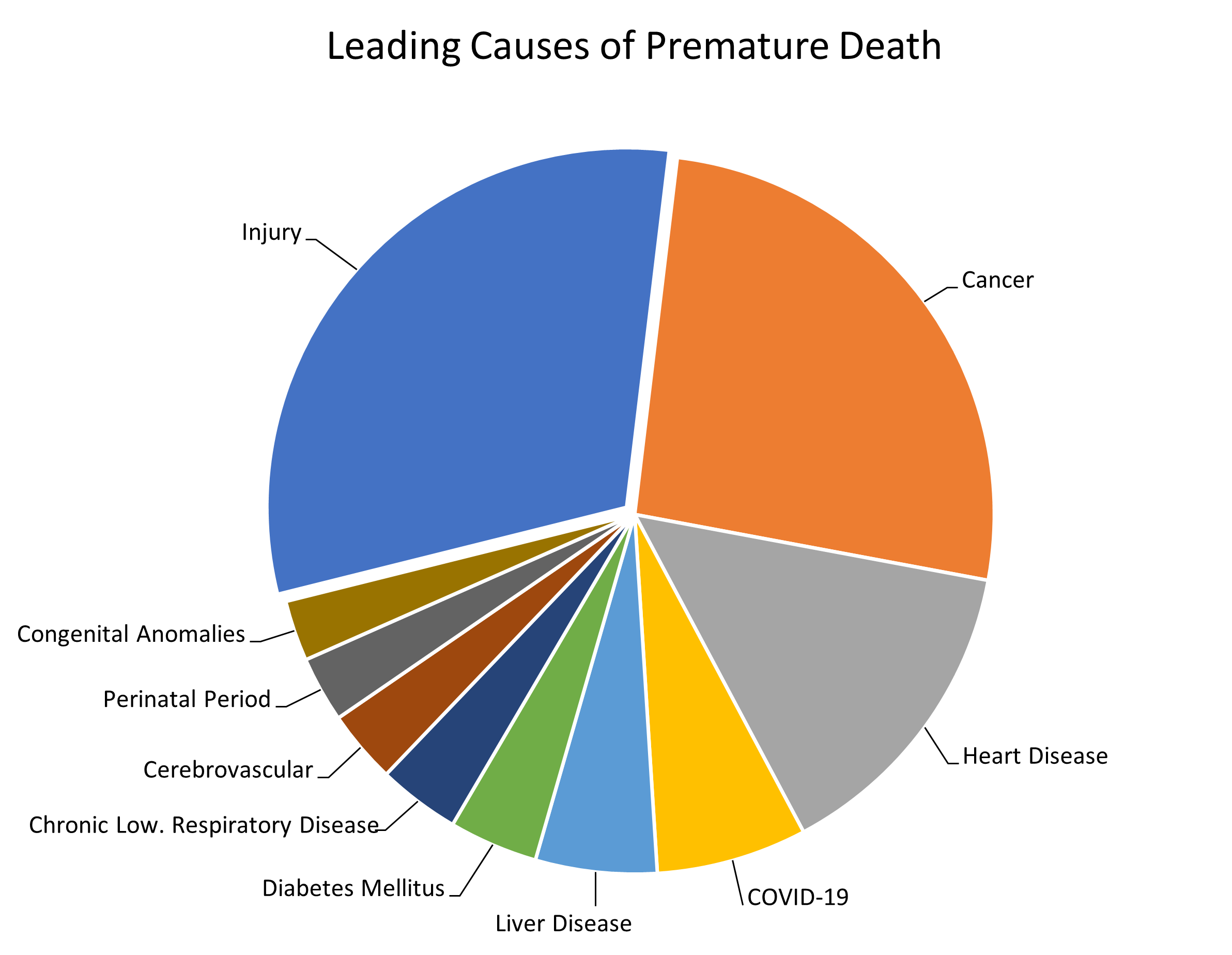 Leading causes of premature death