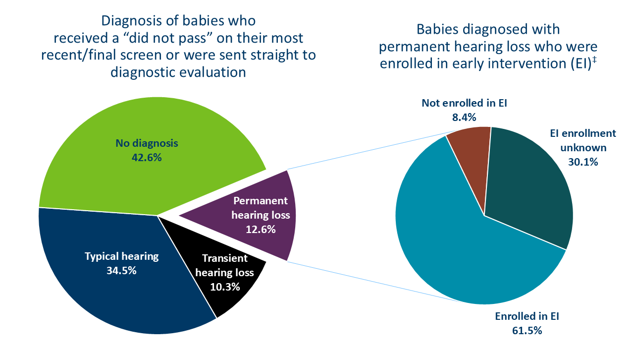 hearing screening pie charts